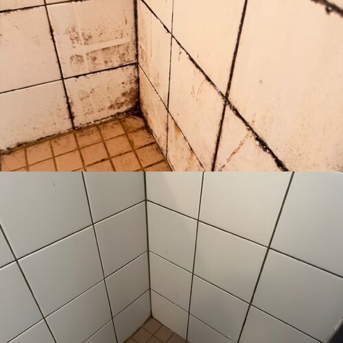 タイル壁カビ取り