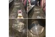 床洗浄作業中