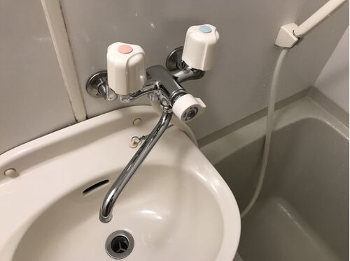 蛇口作業後