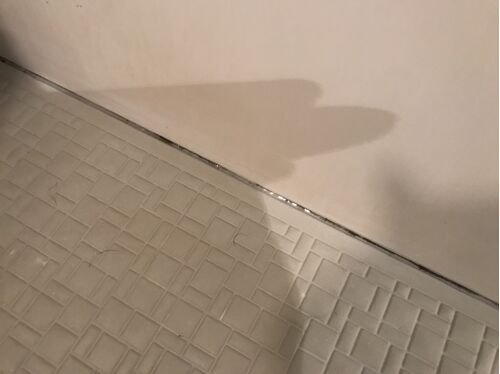 浴室パッキン黒カビ