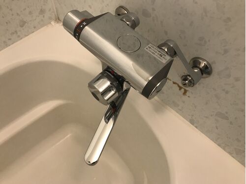 浴室蛇口清掃後