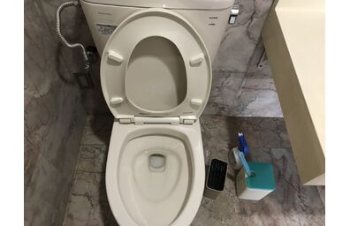トイレ清掃前