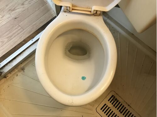 トイレ清掃前