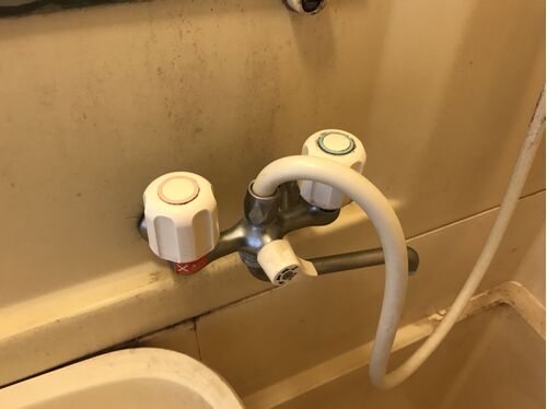 蛇口研磨前