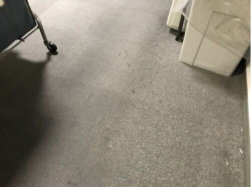 絨毯お茶染み施工前