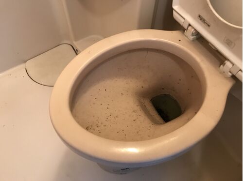 トイレ清掃前