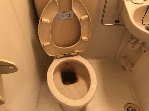 トイレ清掃前