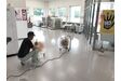 ワックス乾燥中