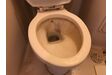 トイレ清掃前