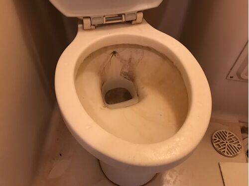 トイレ清掃前