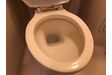 トイレ清掃後