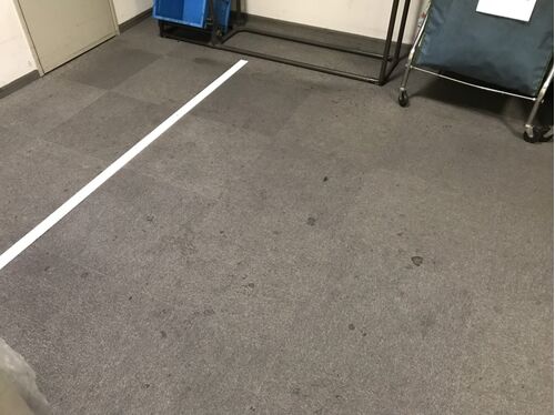 絨毯洗浄前