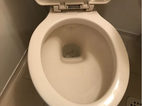 トイレ清掃前