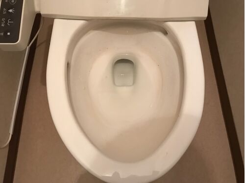 トイレ清掃前