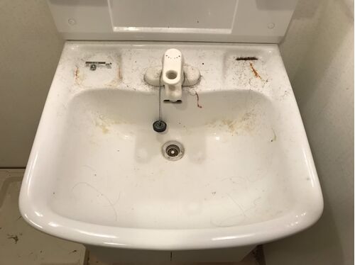 洗面所清掃前
