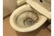 トイレ清掃前