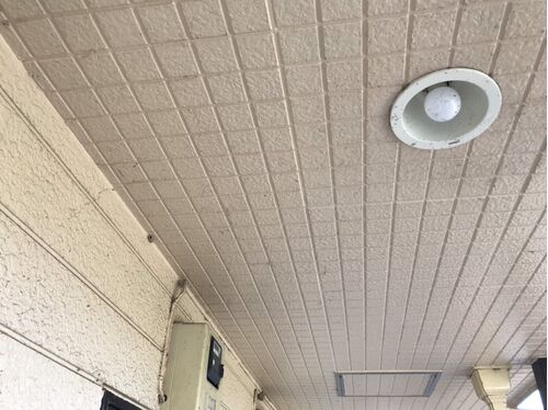 天井蜘蛛の巣除去前