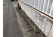 建物前草刈り作業前