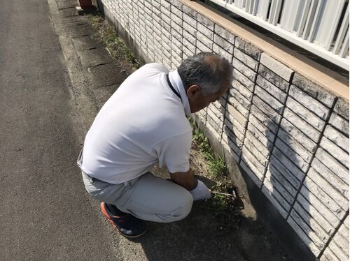 草刈り作業中