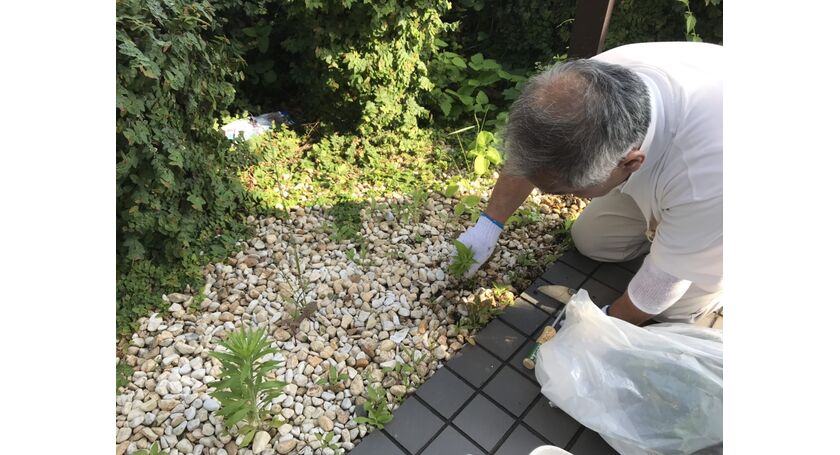 草刈り中