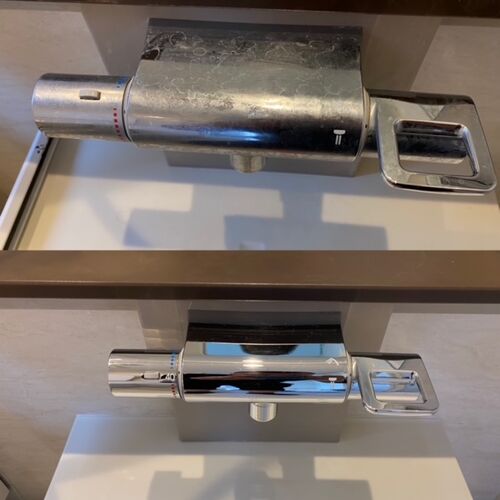 蛇口清掃