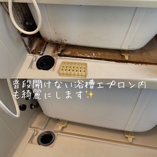 浴室浴槽エプロン内清掃
