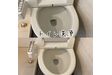 トイレ清掃