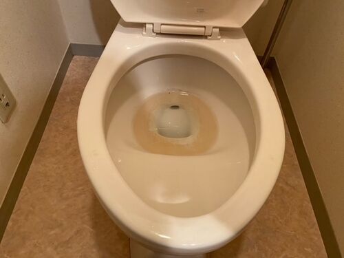トイレ便器