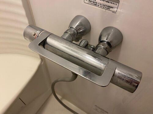 シャワー蛇口磨き前