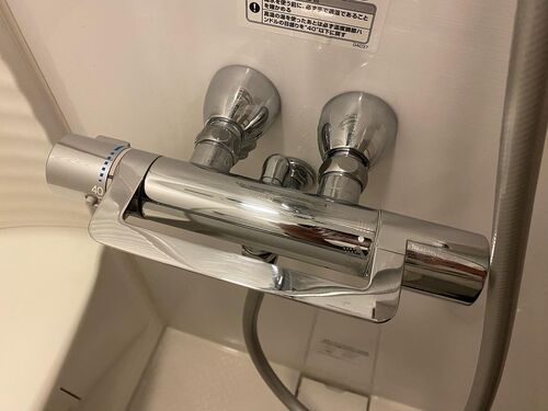 シャワー蛇口磨き後